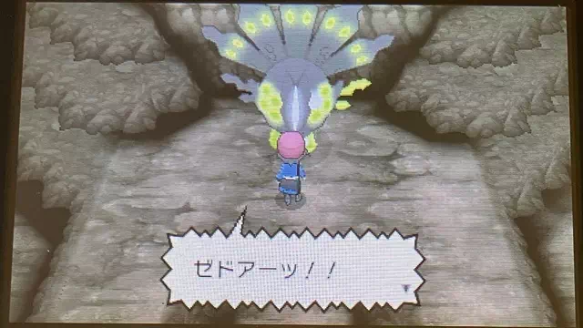 ジガルデ