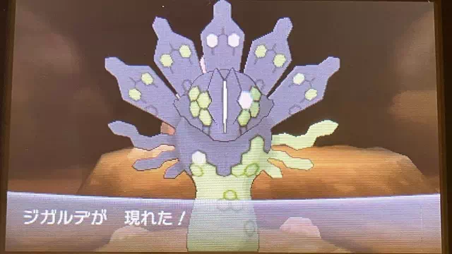 ジガルデ2