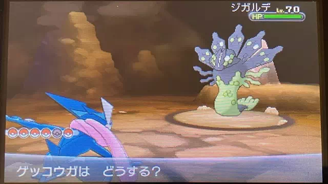 ジガルデ3