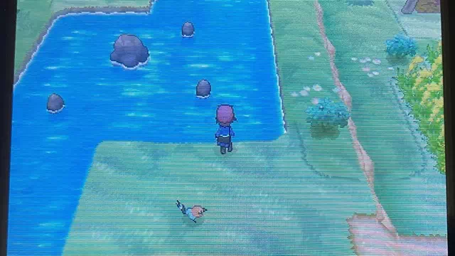 ポケモンの村・なみのり