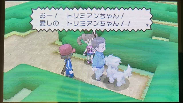 消えたトリミアンを捕まえた