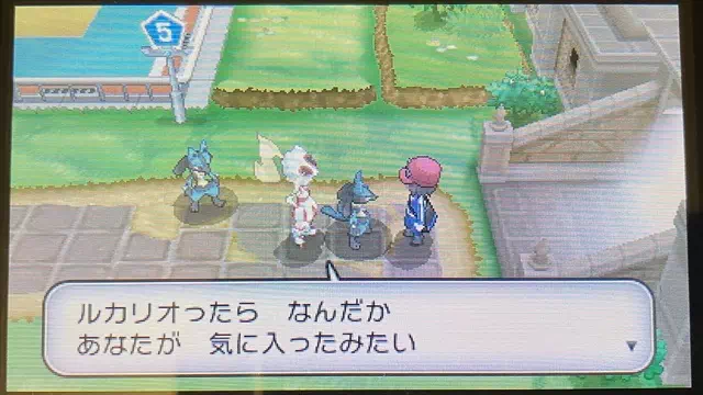 ルカリオと遭遇