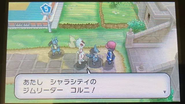 シャラシティのジムリーダー「コルニ」