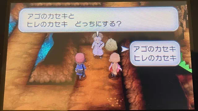 「アゴのカセキ」と「ヒレのカセキ」