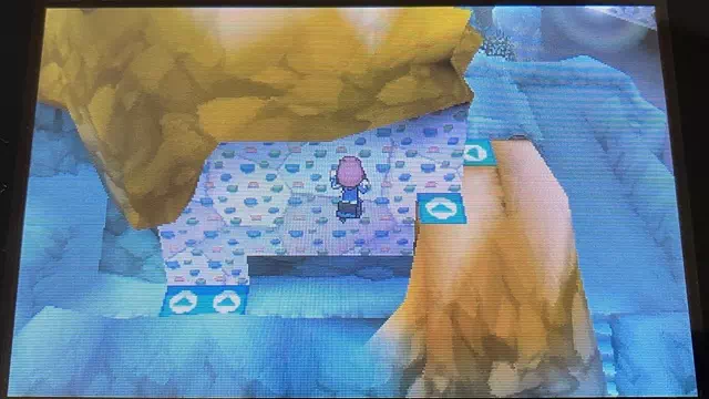 ショウヨウシティジム