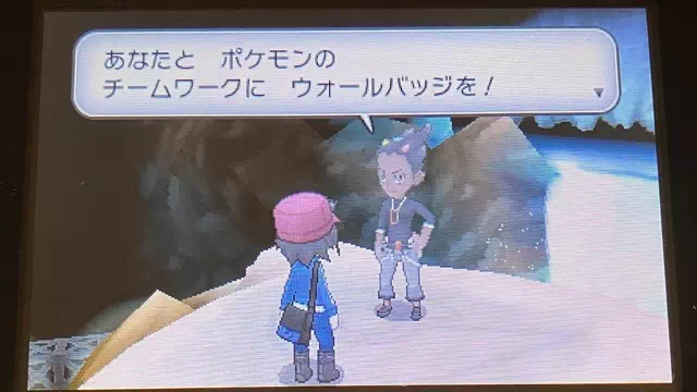 ウォールバッジ獲得