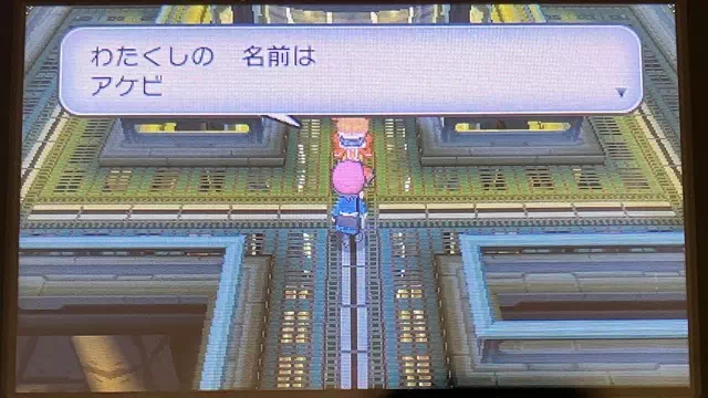フレア団の科学者「アケビ」