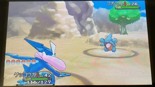 フカマル