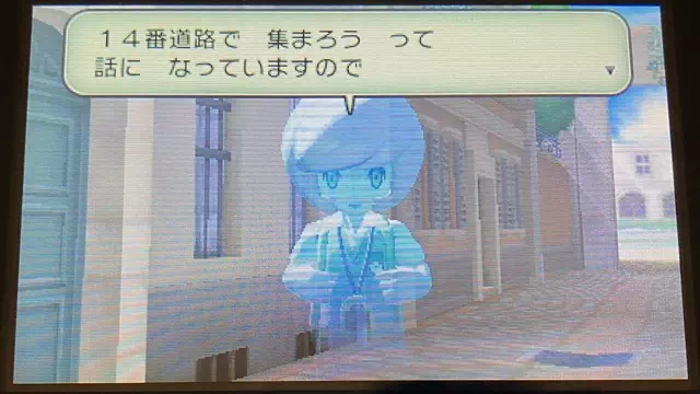 14番道路で集まろう