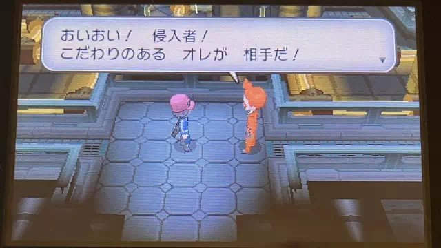 こだわりのあるフレア団員とバトル