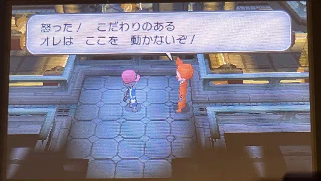 こだわりのあるフレア団員とバトル2
