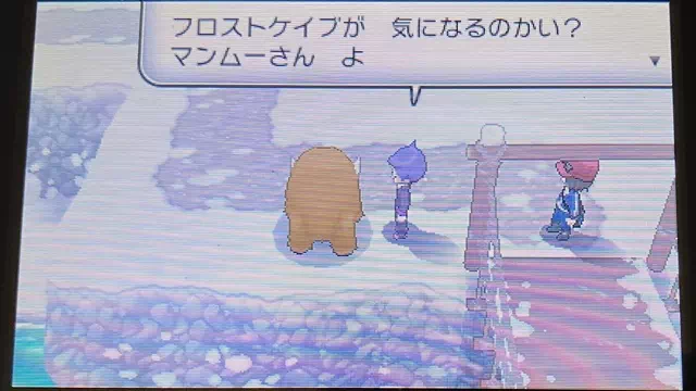フロストケイブが気になるマンムー