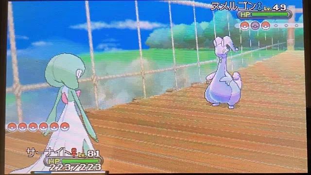 サナとポケモン勝負2