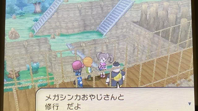 セレナ2