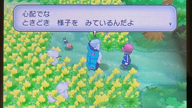ポケモンのむら