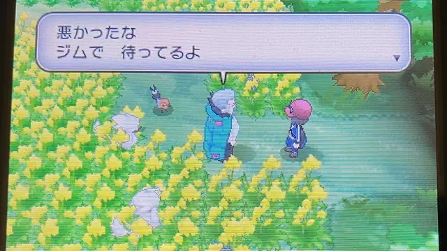 ポケモンのむら2