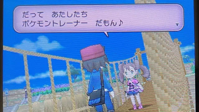 19番道路・サナと会話